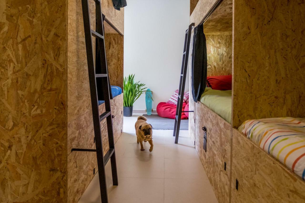 Algarve Surf Hostel - Lagos Zewnętrze zdjęcie